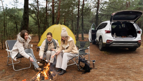 beste camping nederland​