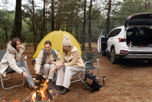 beste camping nederland​
