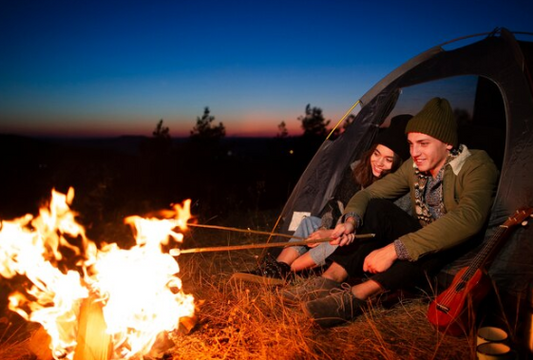wildkamperen in nederland