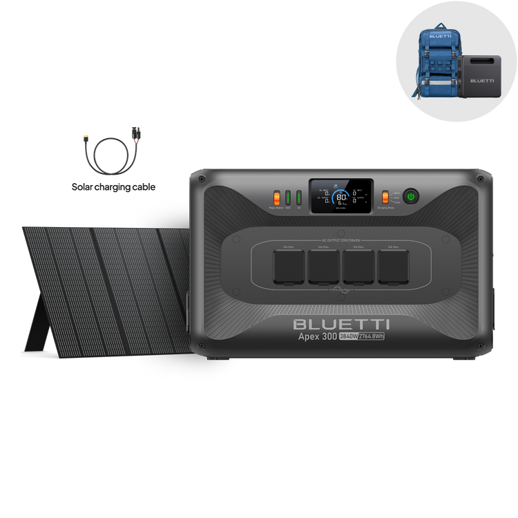 BLUETTI Apex 300+350W